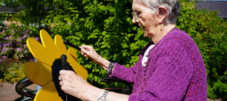 Senior Living Article - Sunflower (Music for Seniors 9 - Sunflower