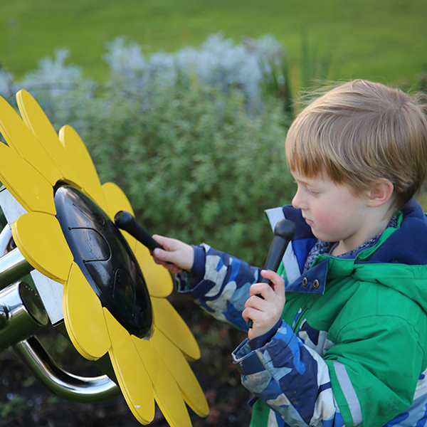 Sunflower Petal Drum