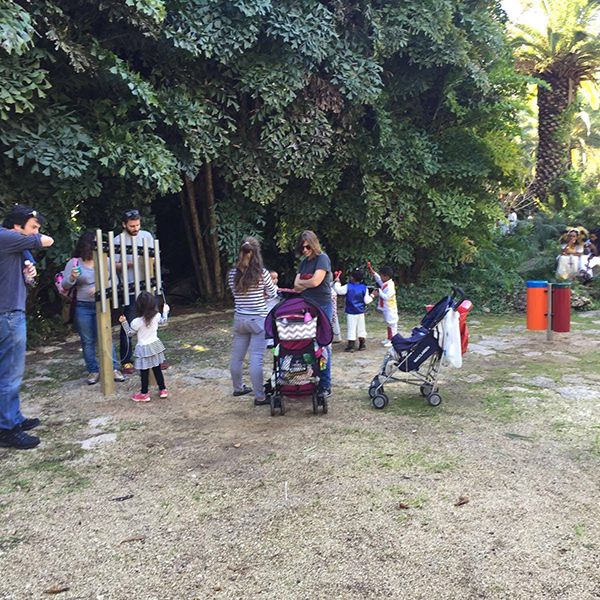 ‘Music Park’ created in Tropical Garden as an alternative playground for families to visit in popular Tel Aviv Park